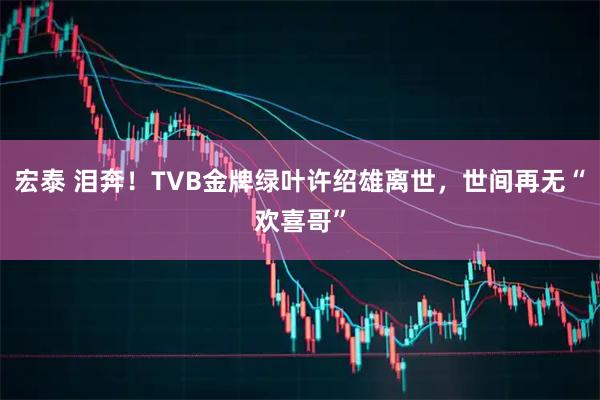 宏泰 泪奔!TVB金牌绿叶许绍雄离世,世间再无“欢喜哥”