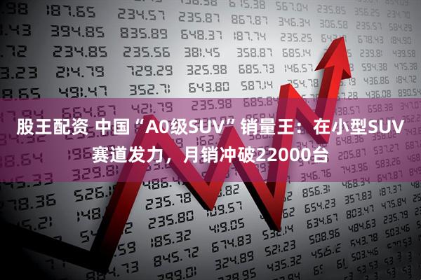 股王配资 中国“A0级SUV”销量王:在小型SUV赛道发力,月销冲破22000台